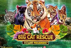 Big Cat Rescue Megaways